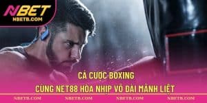 Cá Cược Boxing