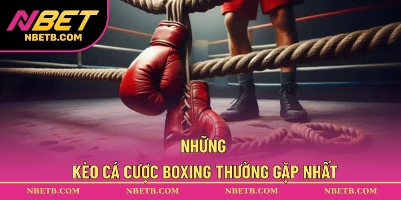 Những kèo cá cược Boxing thường gặp nhất