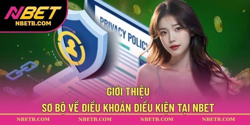 Giới thiệu sơ bộ về điều khoản điều kiện tại NBET